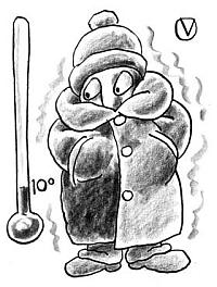 January weather too cold for the Caribbean