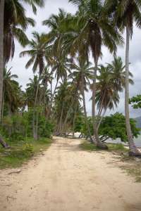 beach road las galeras