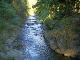 creek from safely water drink