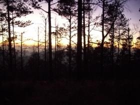 sun rays first