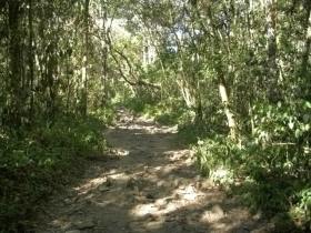 route part lower path green