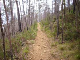 route part upper path stony more
