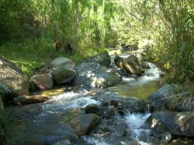 supply water drinking with creeks one