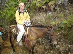 mule on happy tourist