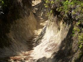 too canyons these walk will you