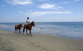 Horse riding along the sea coast on the vacation