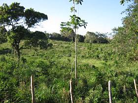 Land for building developement project