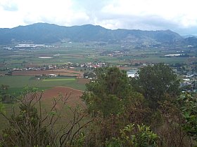 Agriculture in Constanza