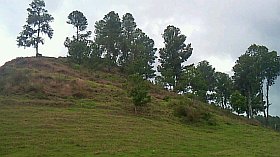 Hill for building developement for sale