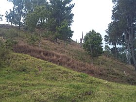 Property land for sale in Constanza
