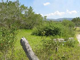 small beach property, 300 meters