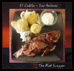 Fish restaurant snapper